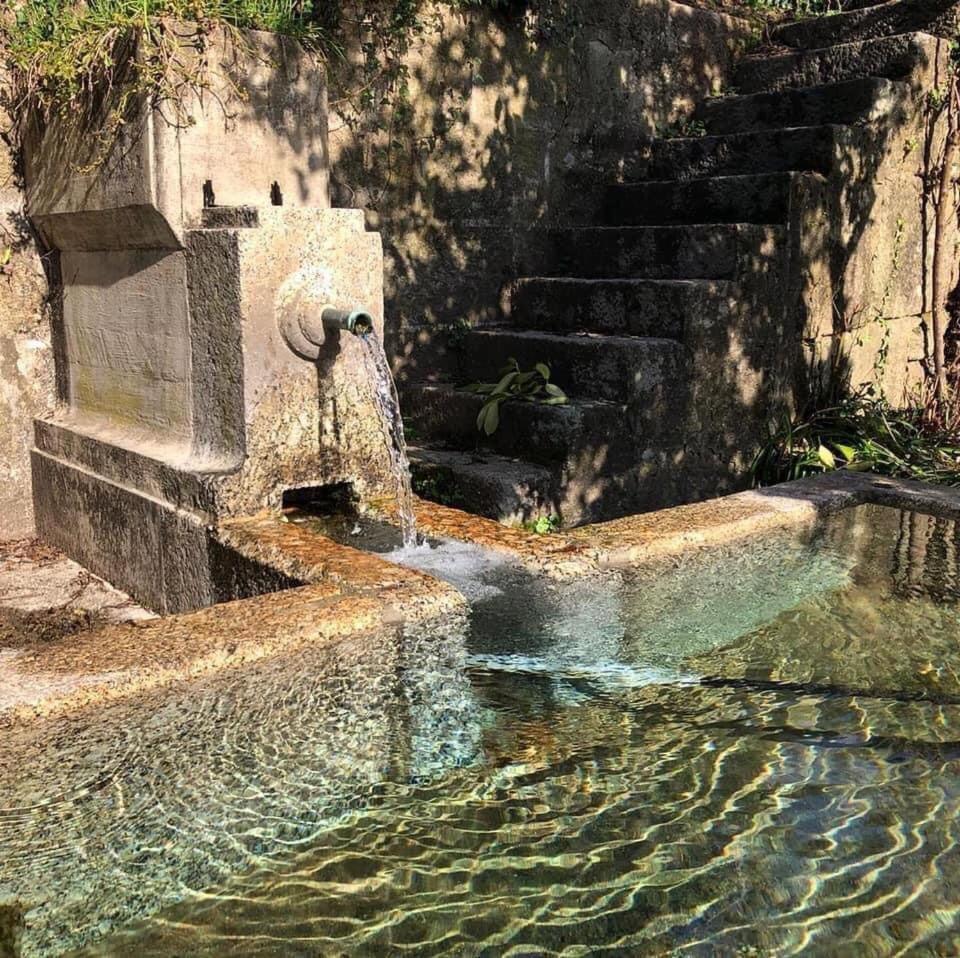 Quinta da Chentuada Amarante Exterior foto