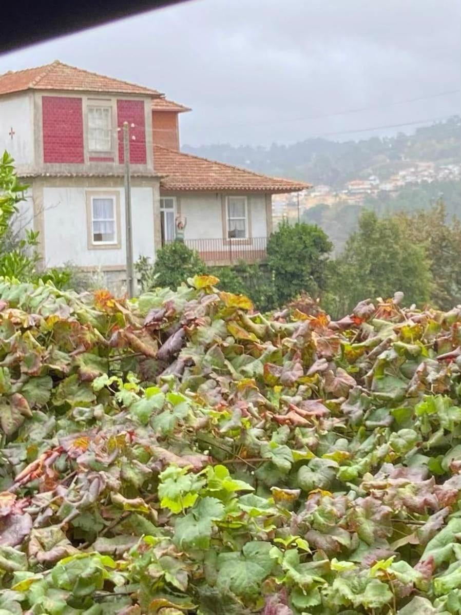 Quinta da Chentuada Amarante Exterior foto